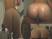 Midget & Ms. PAWG